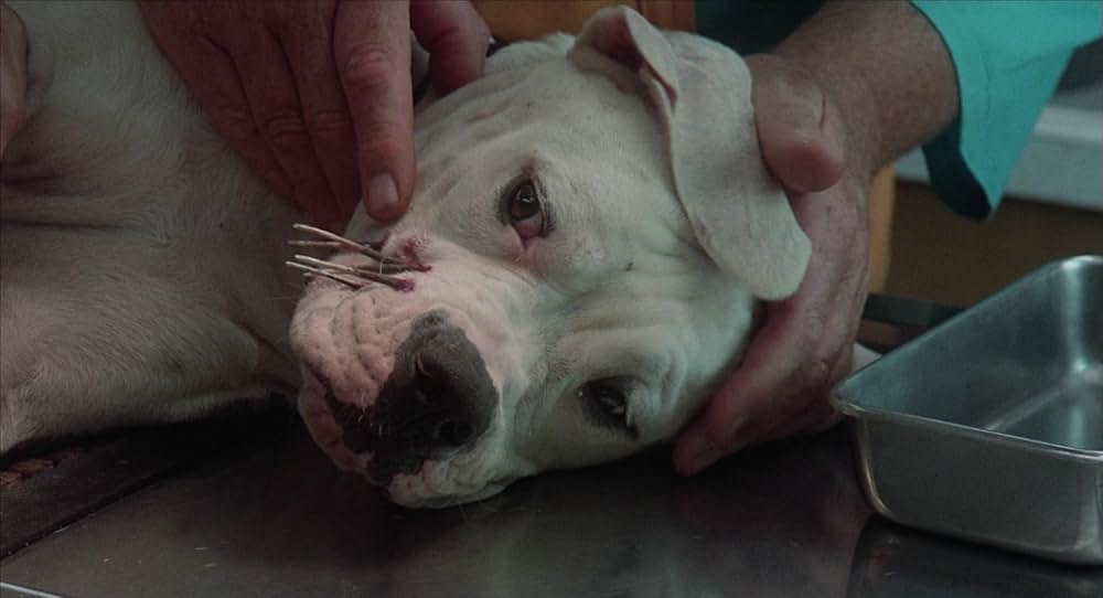 奇跡の旅の画像