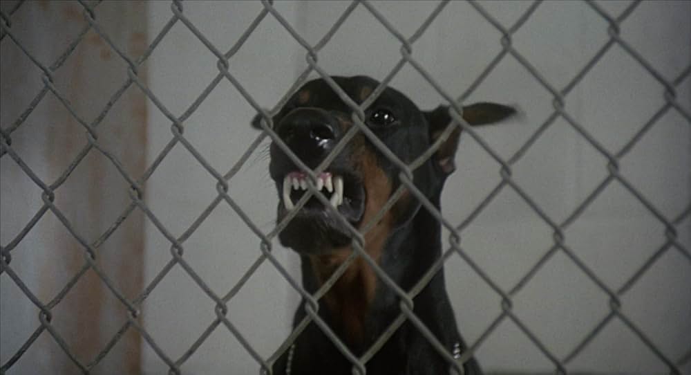 奇跡の旅の画像