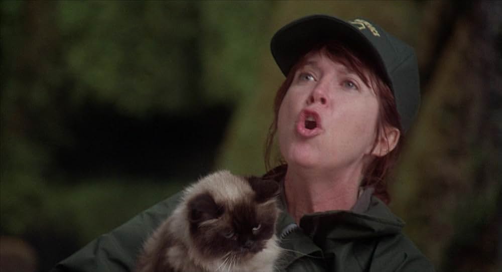 奇跡の旅の画像