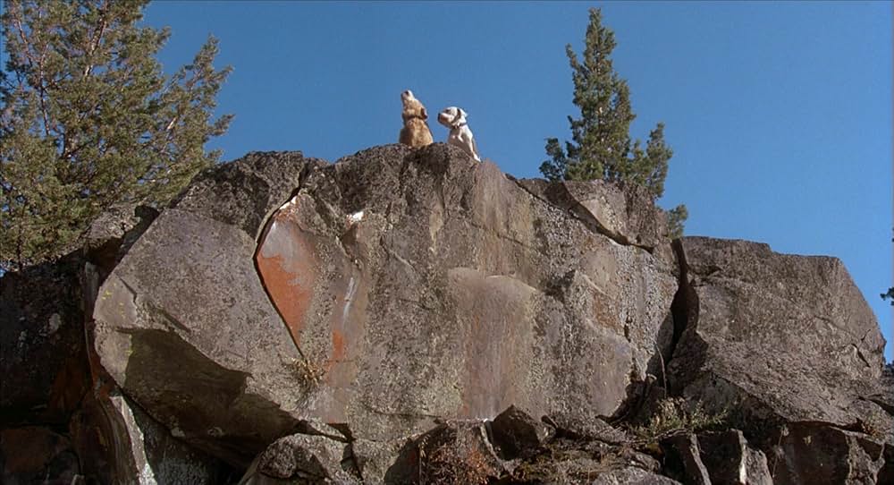 奇跡の旅の画像