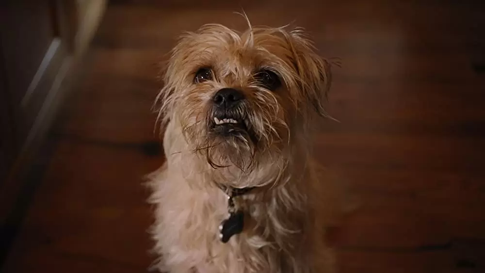 「スパイキッズ4D:ワールドタイム・ミッション」の画像