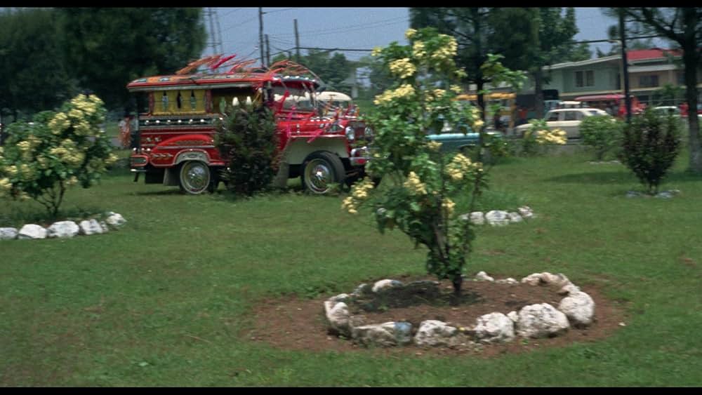 Wonder Women（原題）の画像