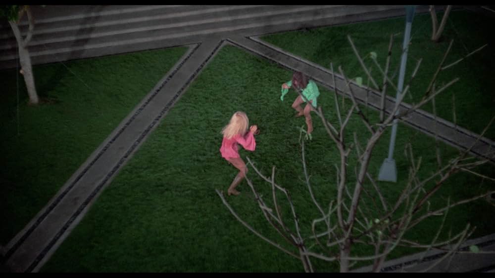 Wonder Women（原題）の画像