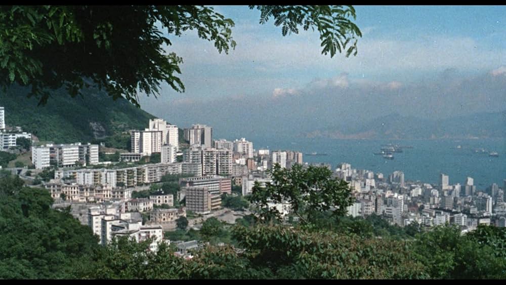 Wonder Women（原題）の画像