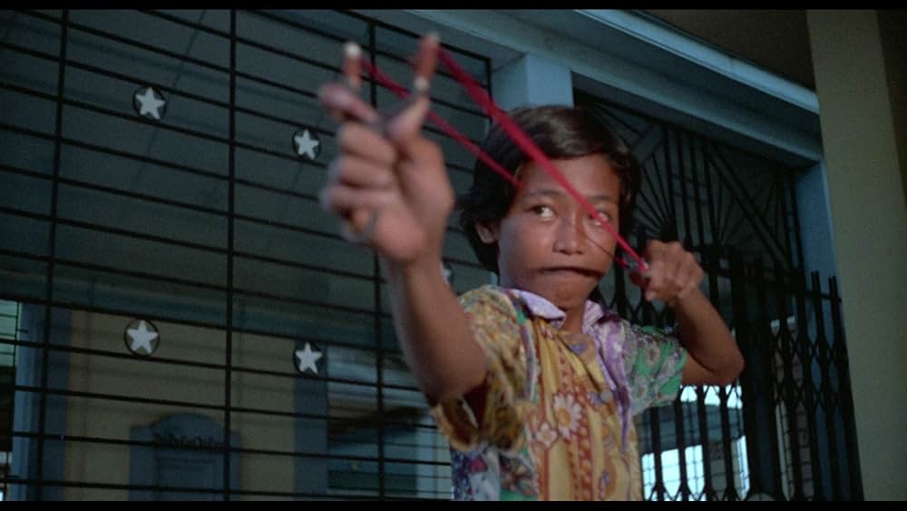 Wonder Women（原題）の画像