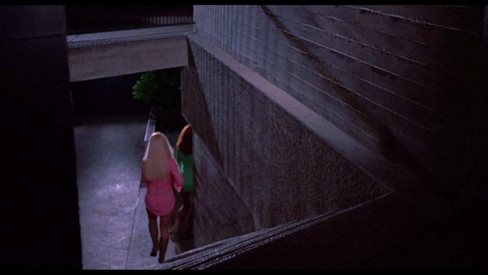 Wonder Women（原題）の画像