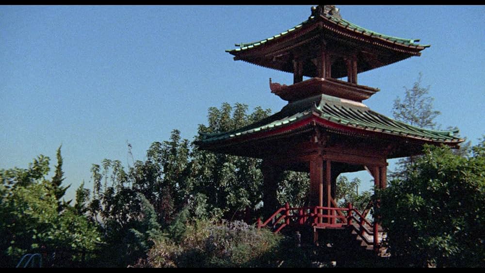 Wonder Women（原題）の画像