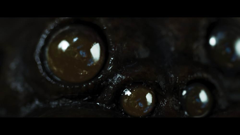 Itsy Bitsy（原題）の画像