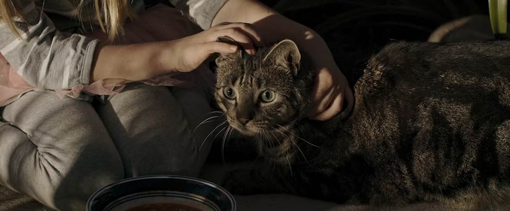 Itsy Bitsy（原題）の画像