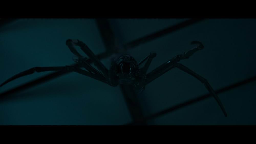 Itsy Bitsy（原題）の画像