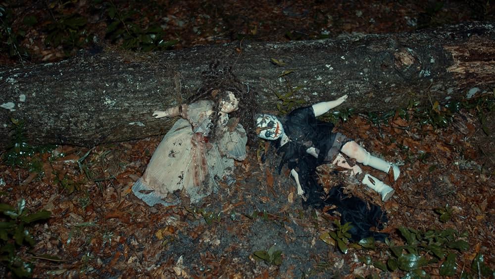 The Last Cabin（原題）の画像