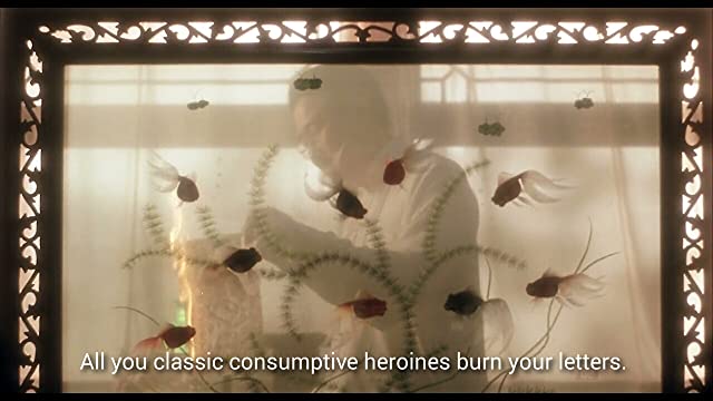 うつせみの画像