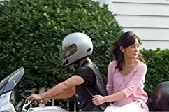 うつせみの画像