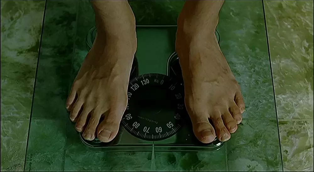 うつせみの画像