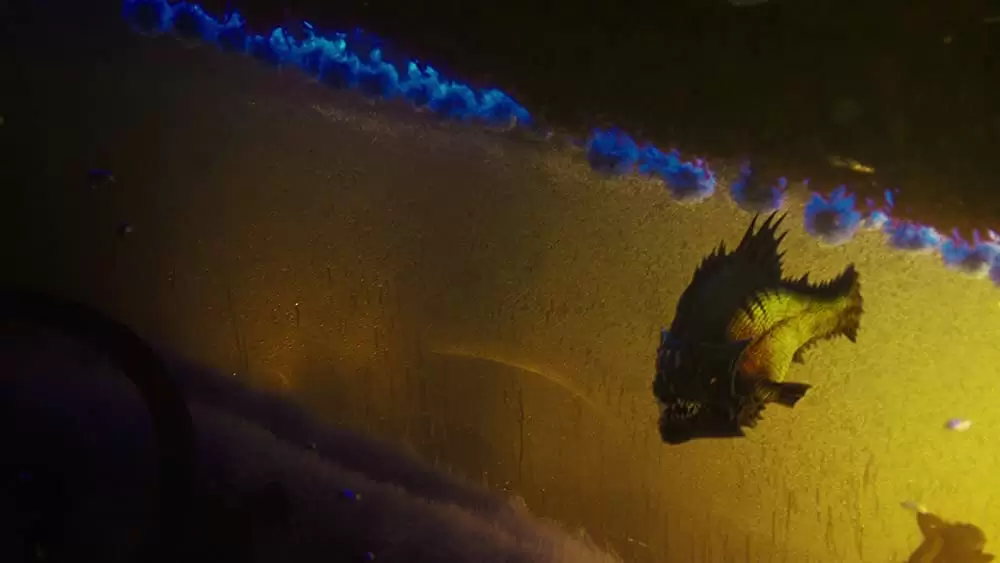 ピラニア リターンズの画像