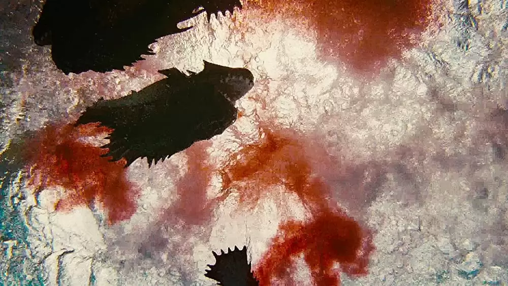 ピラニア リターンズの画像