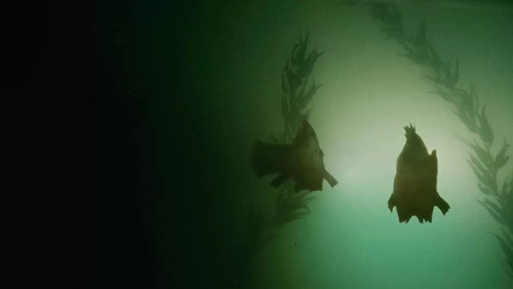 ピラニア リターンズの画像