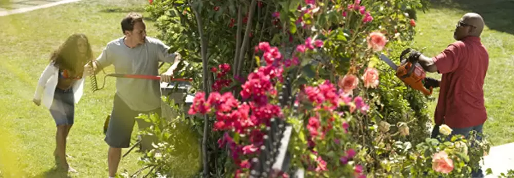 レイクビュー・テラス 危険な隣人の画像