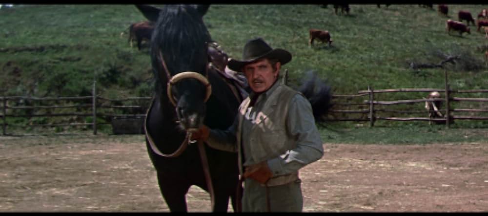 西部の三人兄弟の画像