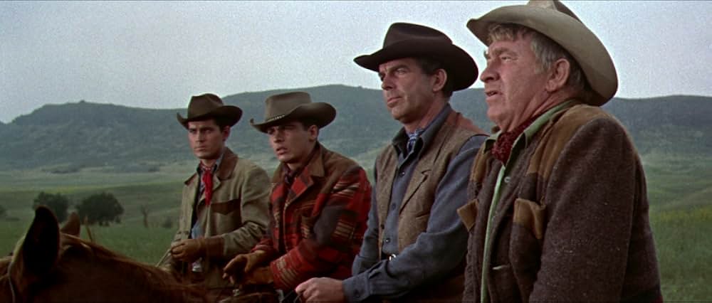 西部の三人兄弟の画像