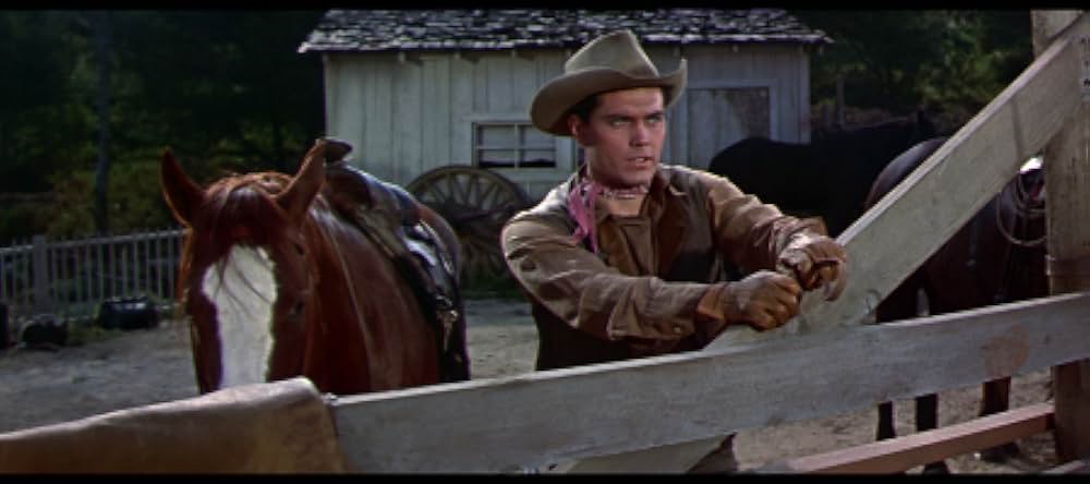 西部の三人兄弟の画像