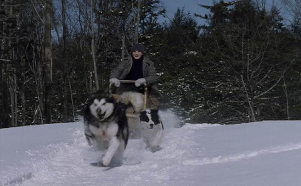 ケイラ 雪原の友だちの画像