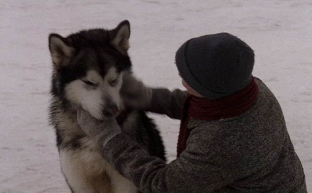 ケイラ 雪原の友だちの画像