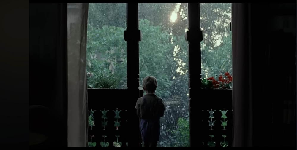 センチメンタル・バリューの画像