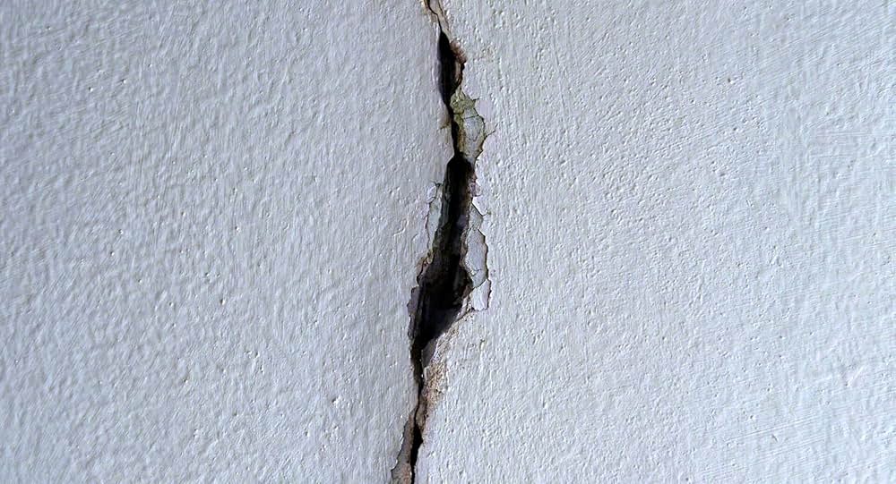 センチメンタル・バリューの画像