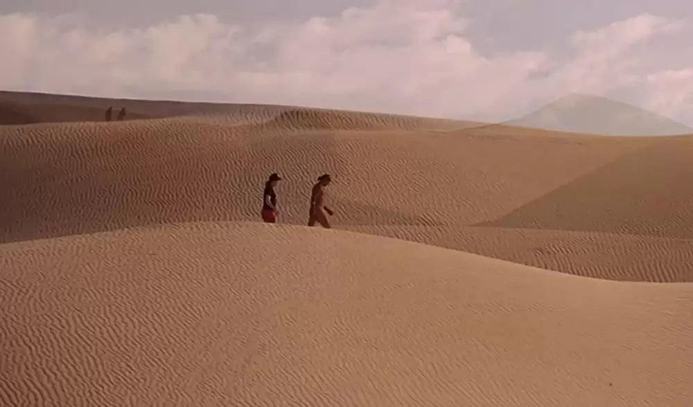 ウェインズ・ワールド2の画像