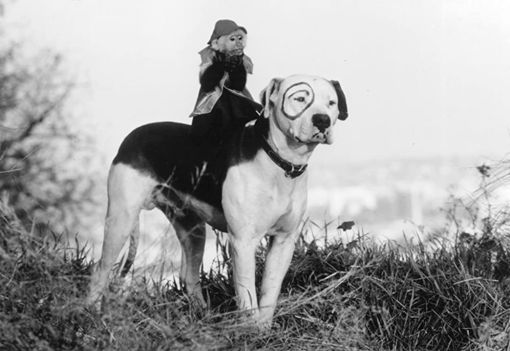 奇跡の旅2／サンフランシスコの大冒険の画像