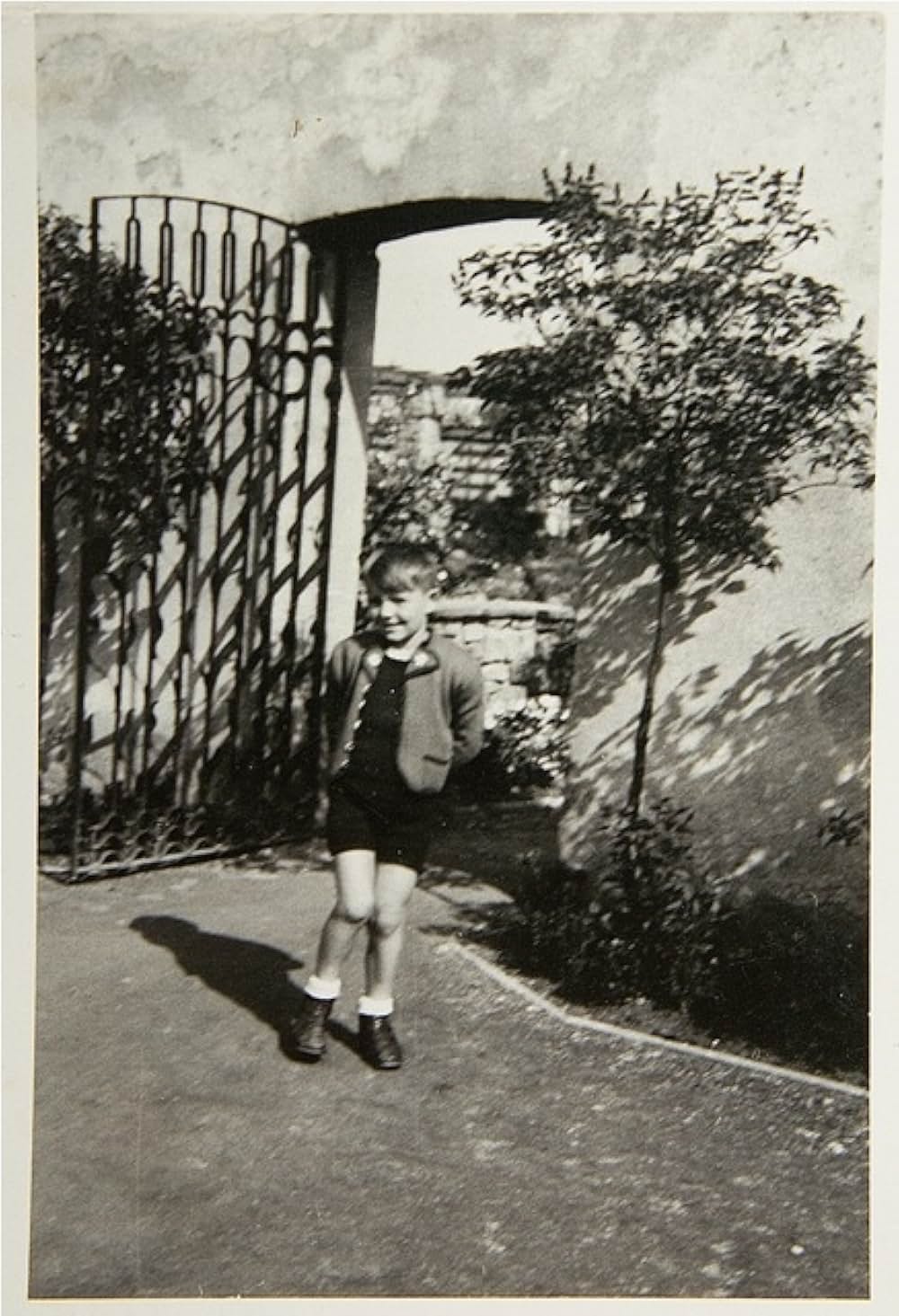 ヒトラー・チルドレン ～ナチスの罪を背負って～の画像