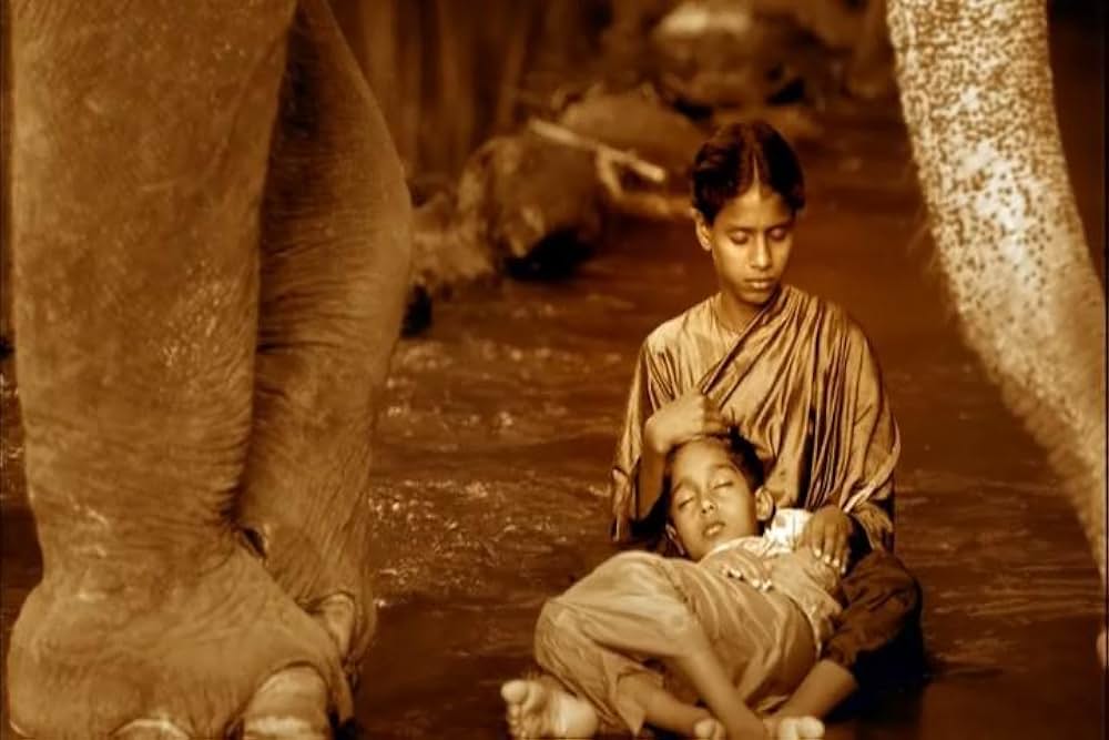 Ashes and Snow（原題）の画像