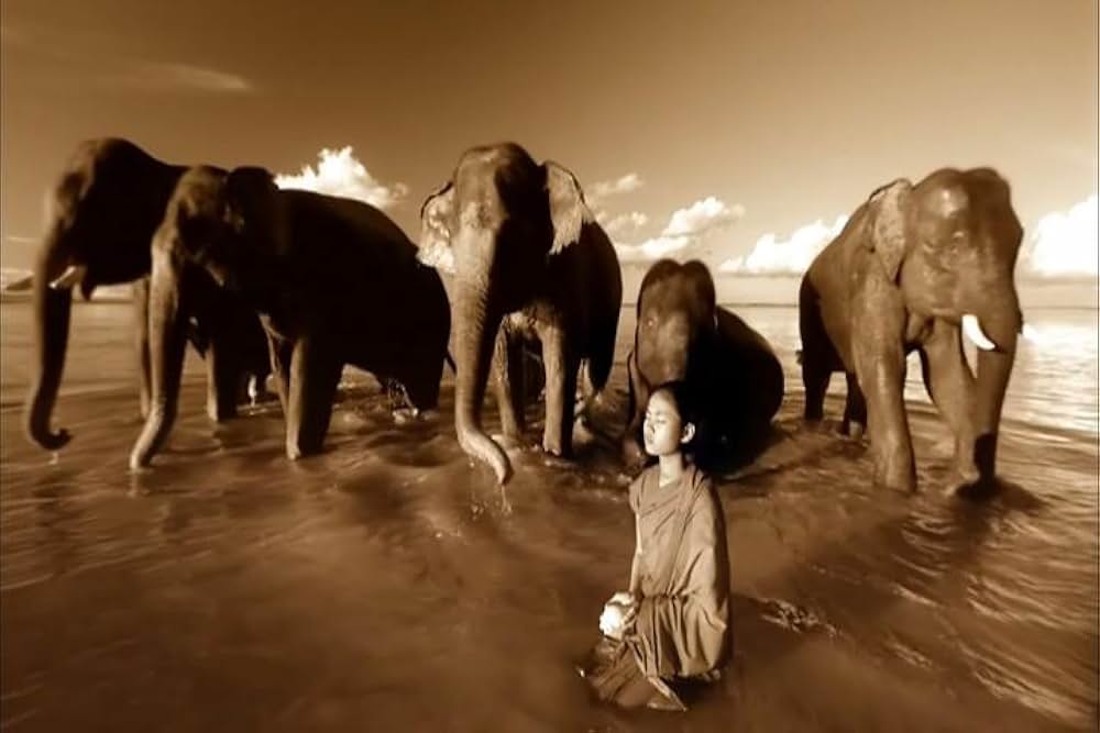 Ashes and Snow（原題）の画像