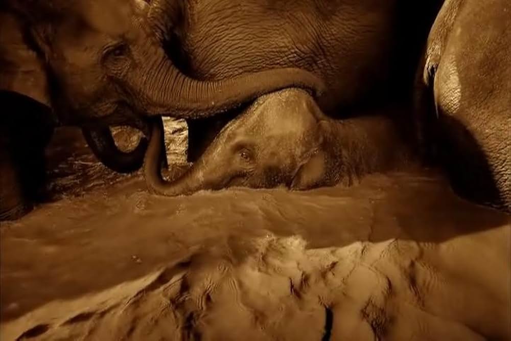 Ashes and Snow（原題）の画像