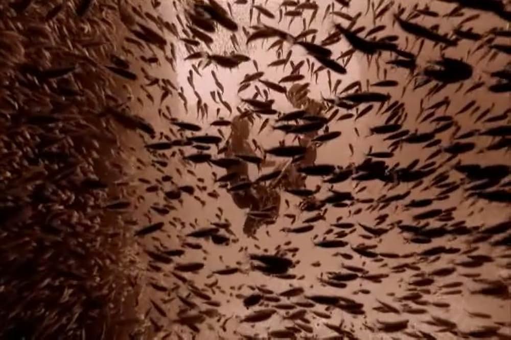 Ashes and Snow（原題）の画像