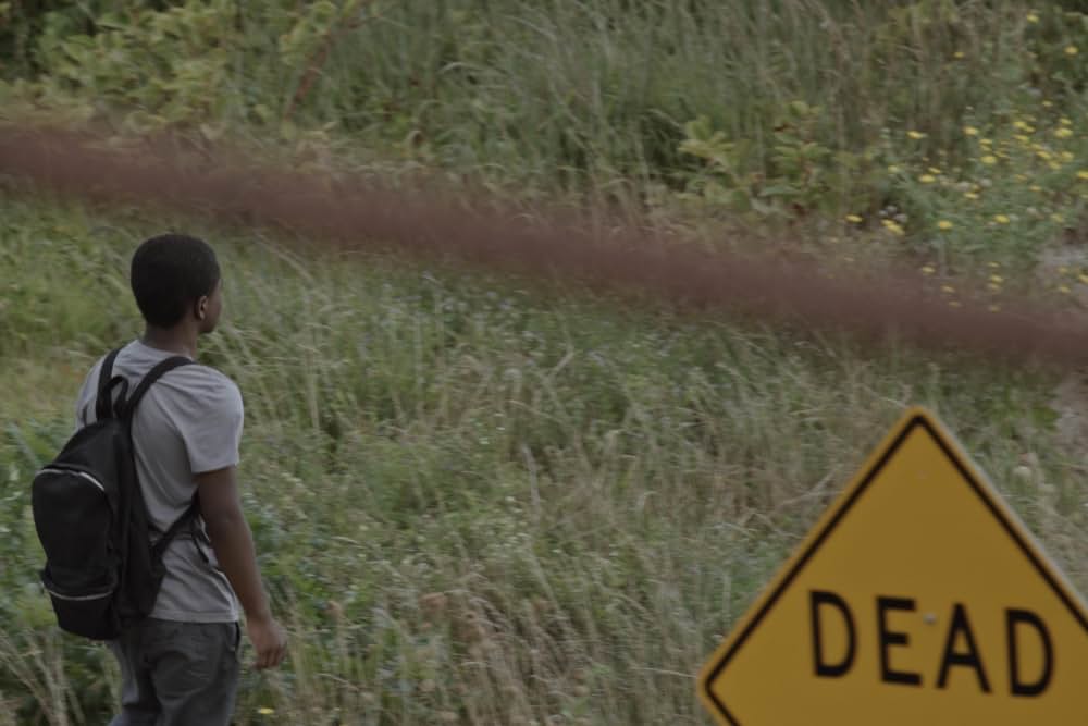 ザ・トランスフィギュレーション（原題）の画像