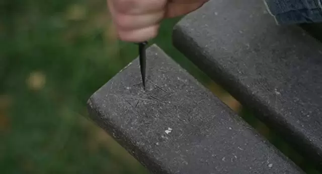 パロアルト・ストーリーの画像