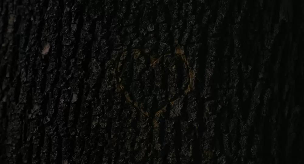 パロアルト・ストーリーの画像