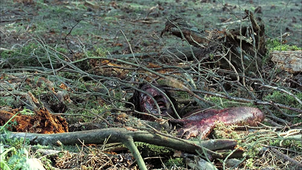 ディセント2の画像