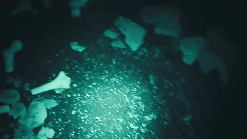 ディセント2の画像