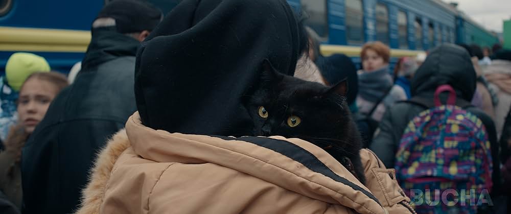 Bucha（原題）の画像