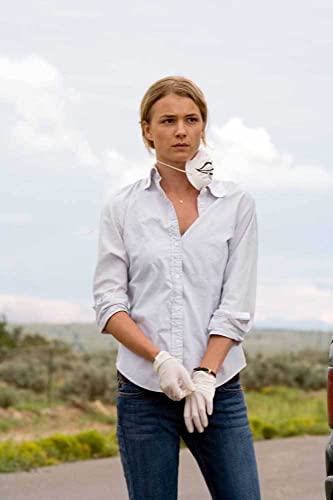 フェーズ6の画像