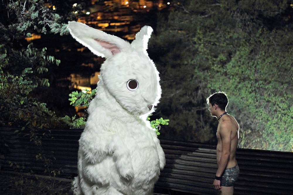 クセニアの画像