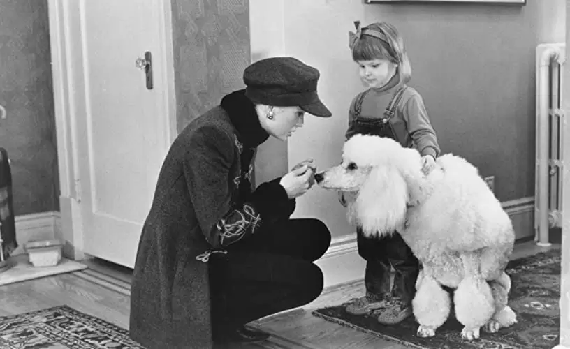 ベイビー・トーク 3 ワンダフルファミリーの画像