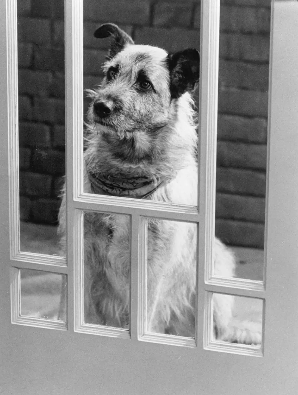 ベイビー・トーク 3 ワンダフルファミリーの画像