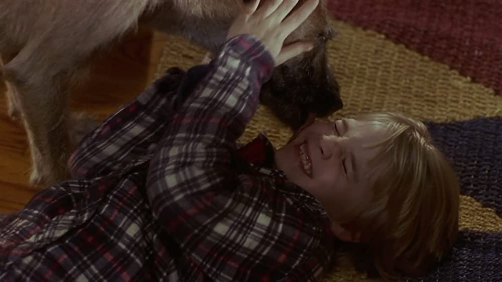 ベイビー・トーク 3 ワンダフルファミリーの画像