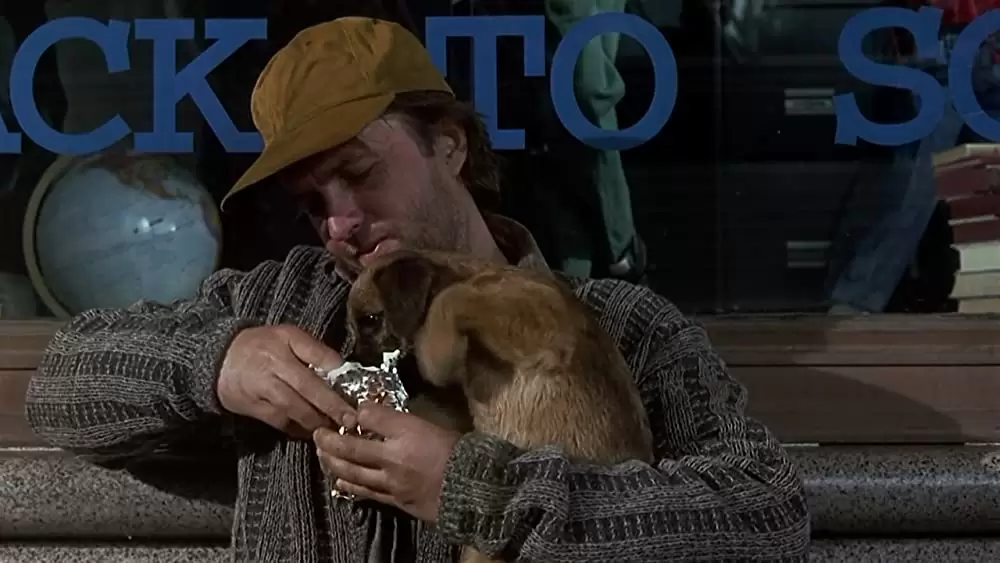 ベイビー・トーク 3 ワンダフルファミリーの画像