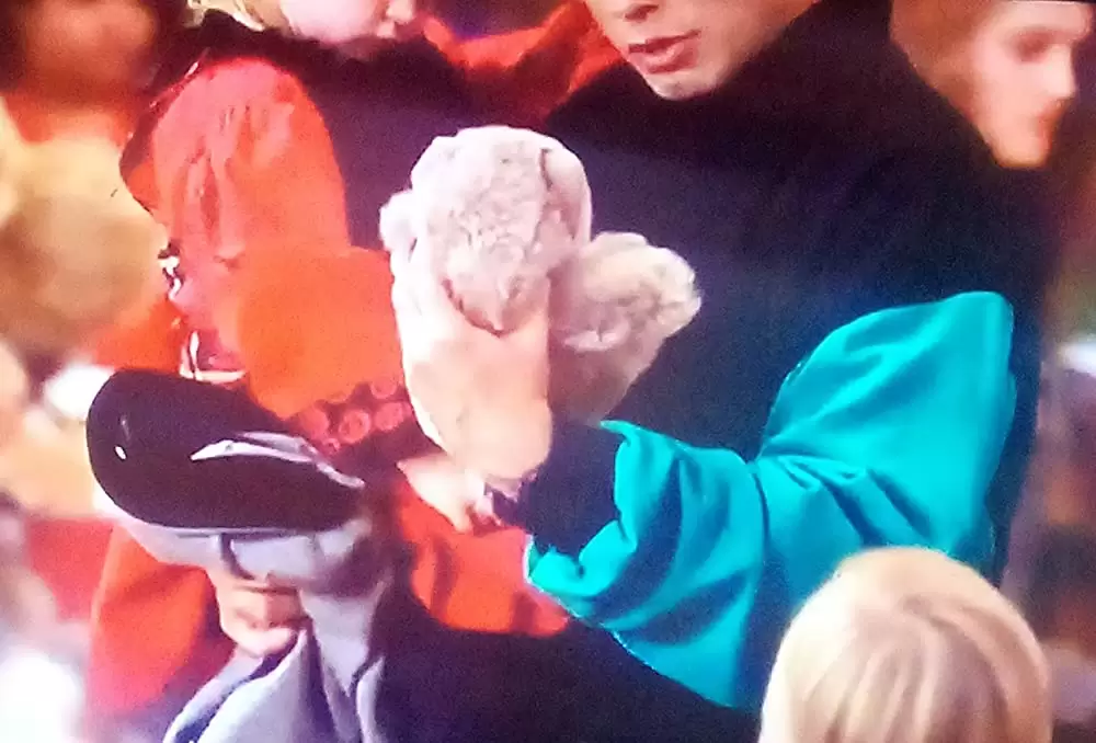 ベイビー・トーク 3 ワンダフルファミリーの画像