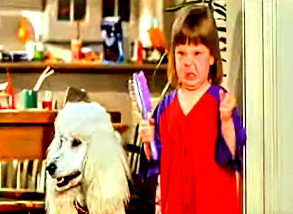 ベイビー・トーク 3 ワンダフルファミリーの画像